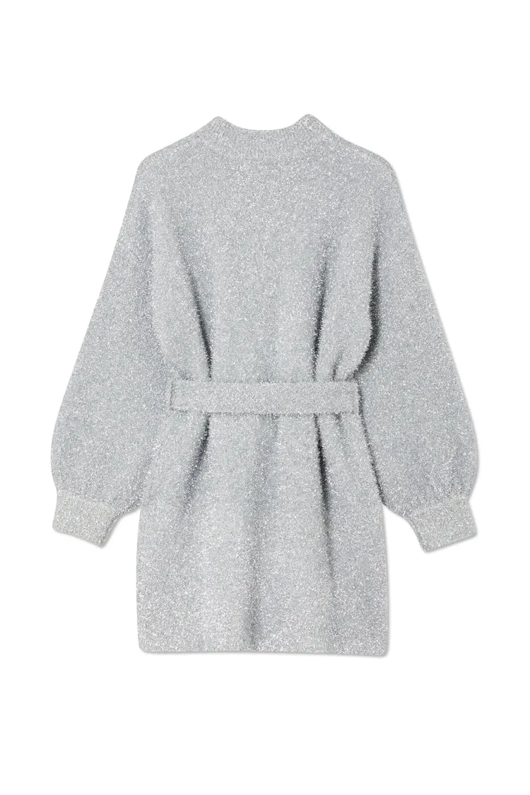 Silver Lyon Tinsel Belted Mini Dress