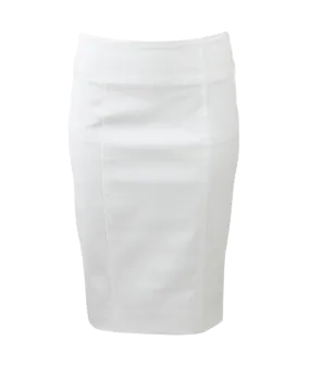 Zip Back Pencil Skirt